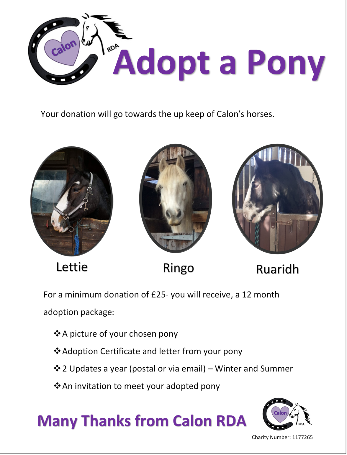 Adopt a Pony – Calon RDA